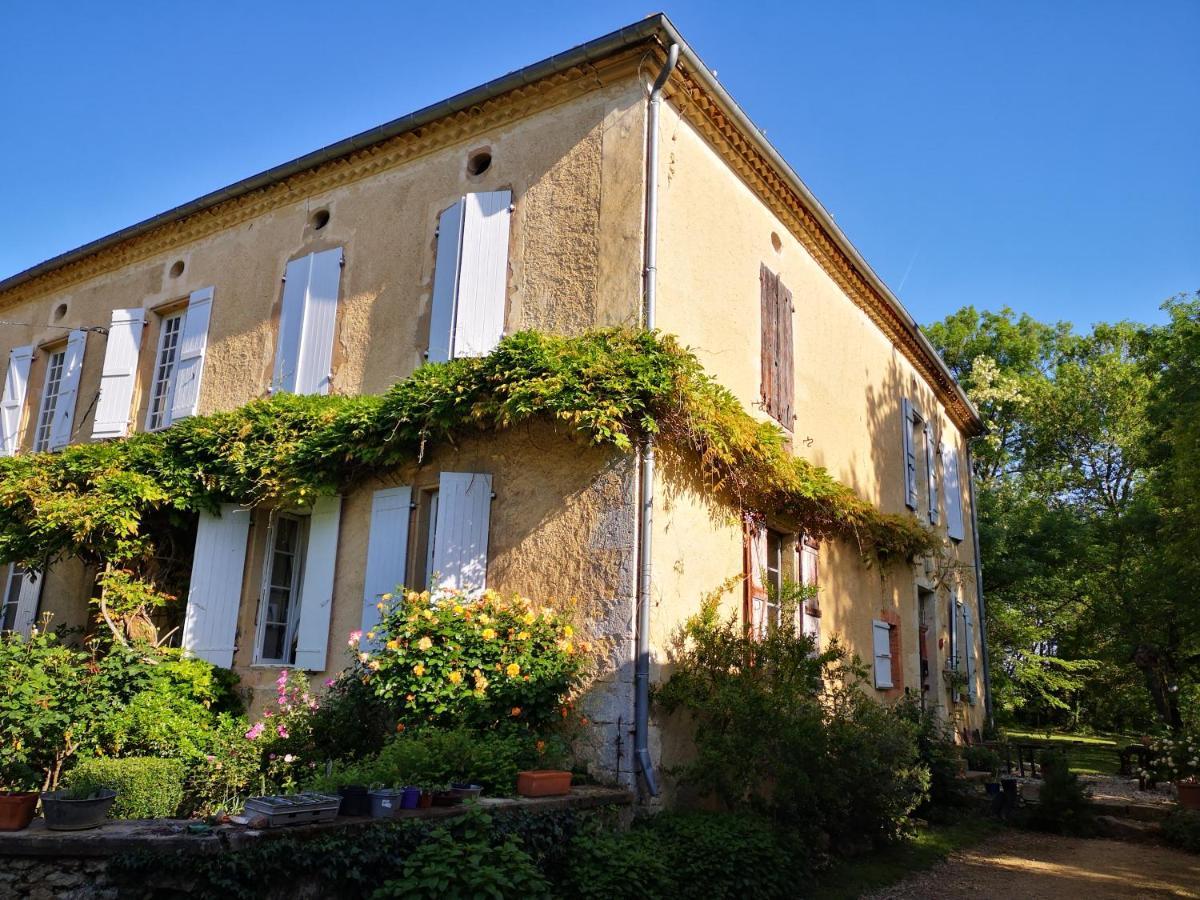 Mule Bed & Breakfast Lagardere Exterior photo