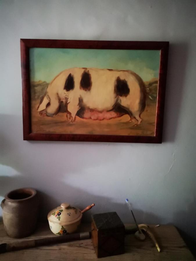 Mule Bed & Breakfast Lagardere Exterior photo